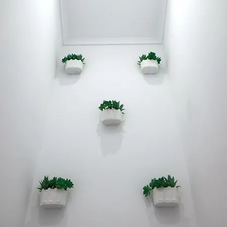 Abegorias Ναζαρέ