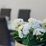 Abegorias شقة